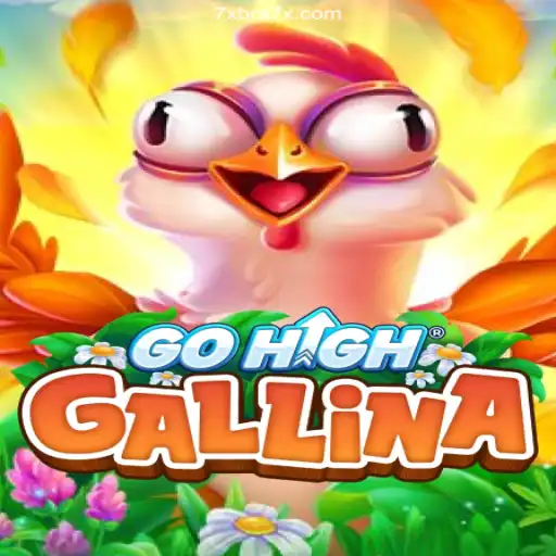 Discover the Thrill of GoHighGallina: A Riveting Game Experience
